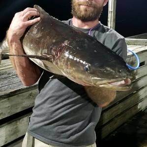 Meet your Posher, Bobby